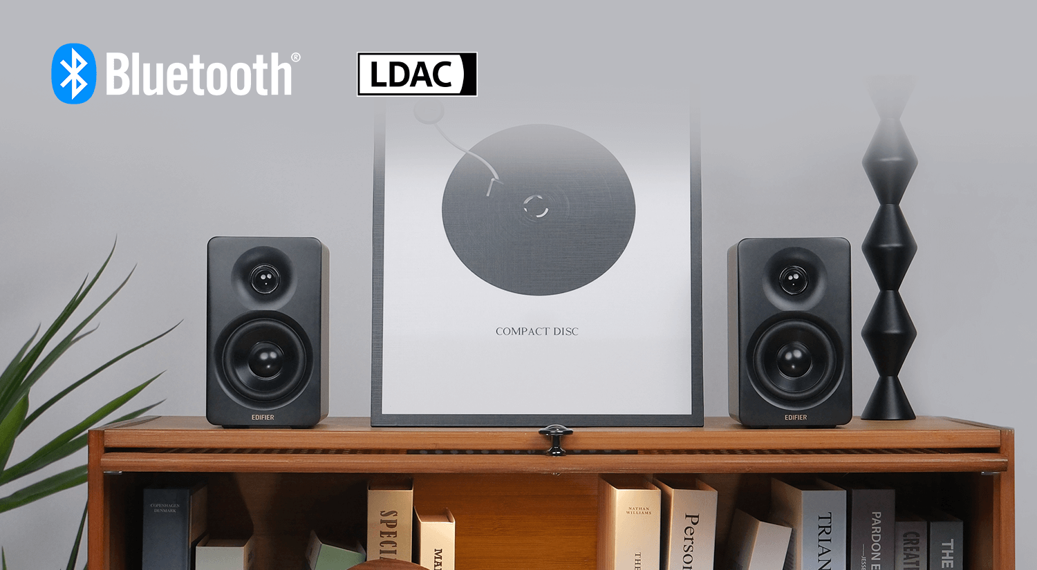 Hi-Res Wireless with LDAC