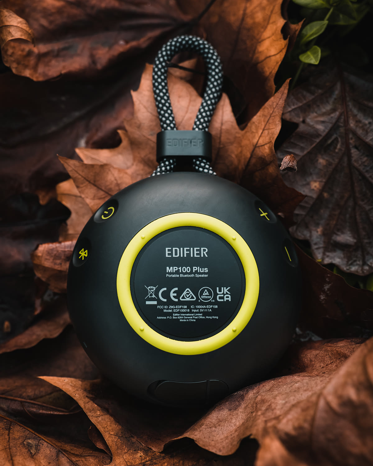 Award-Winning Design