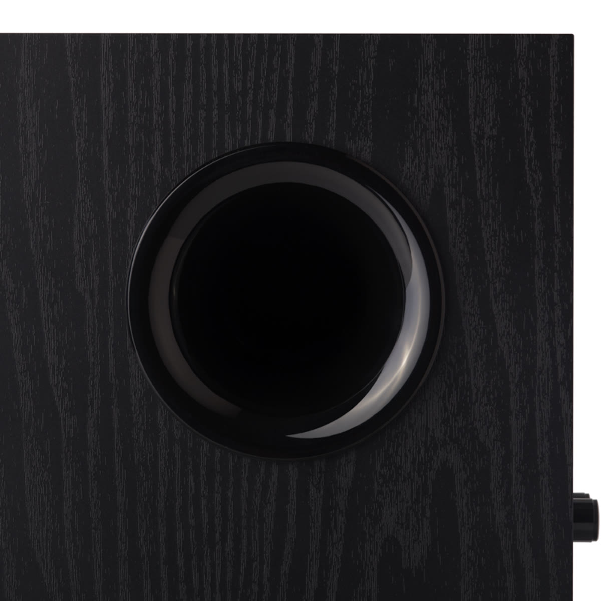 Powerful 8-Inch Driver